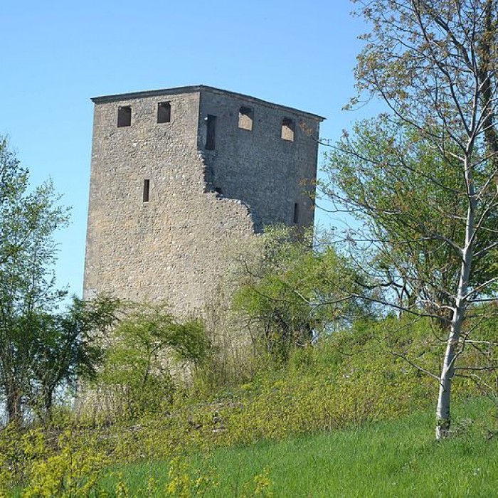 Photo de Château de Saint-Denis-en-Bugey