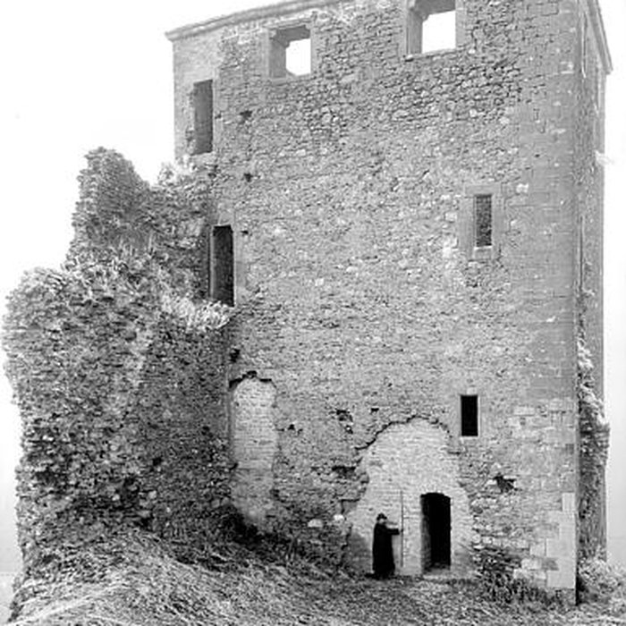 Photo de Château de Saint-Denis-en-Bugey