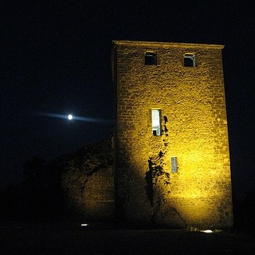 Château de Saint-Denis-en-Bugey