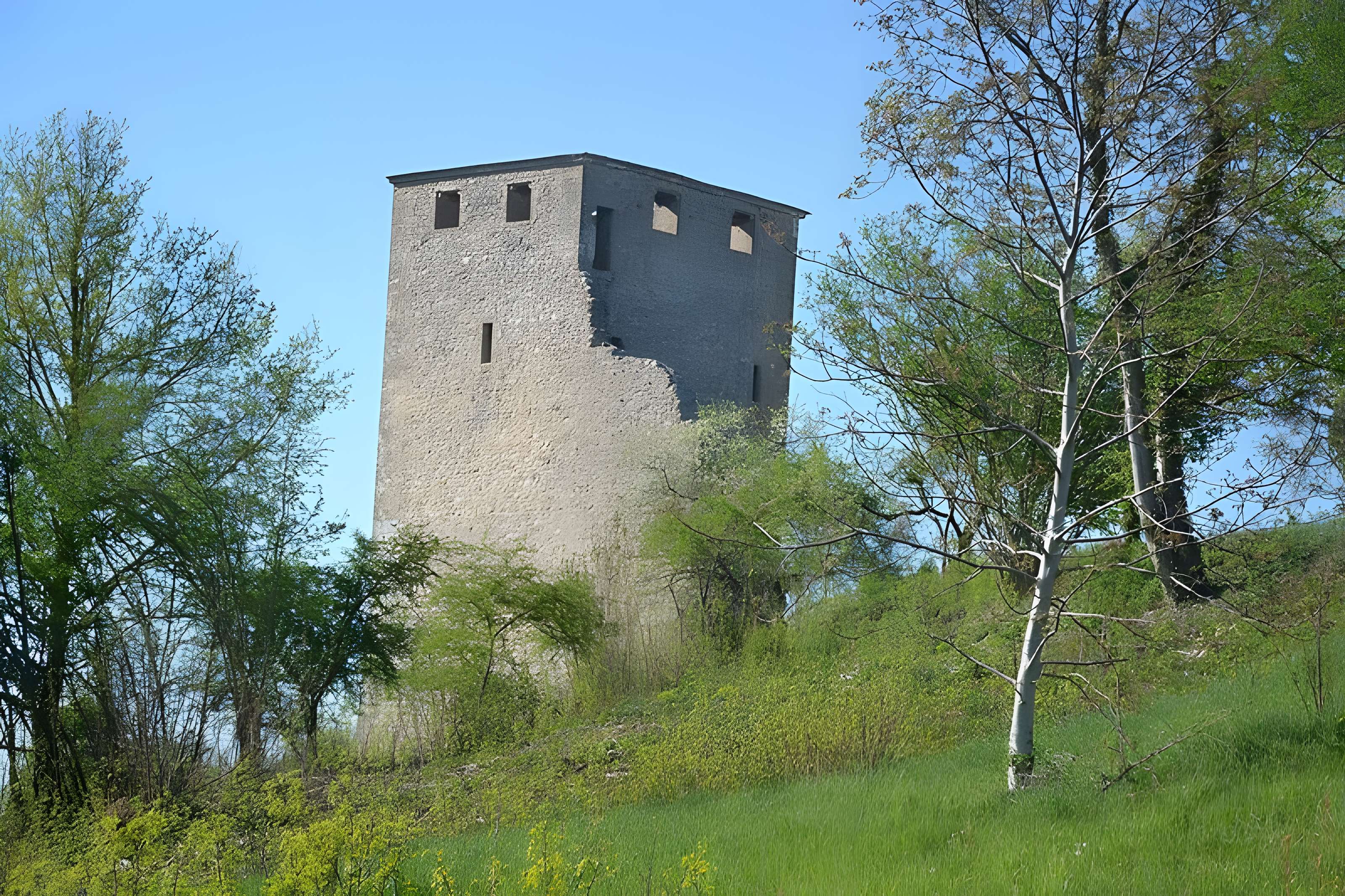 Château de Saint-Denis-en-Bugey 