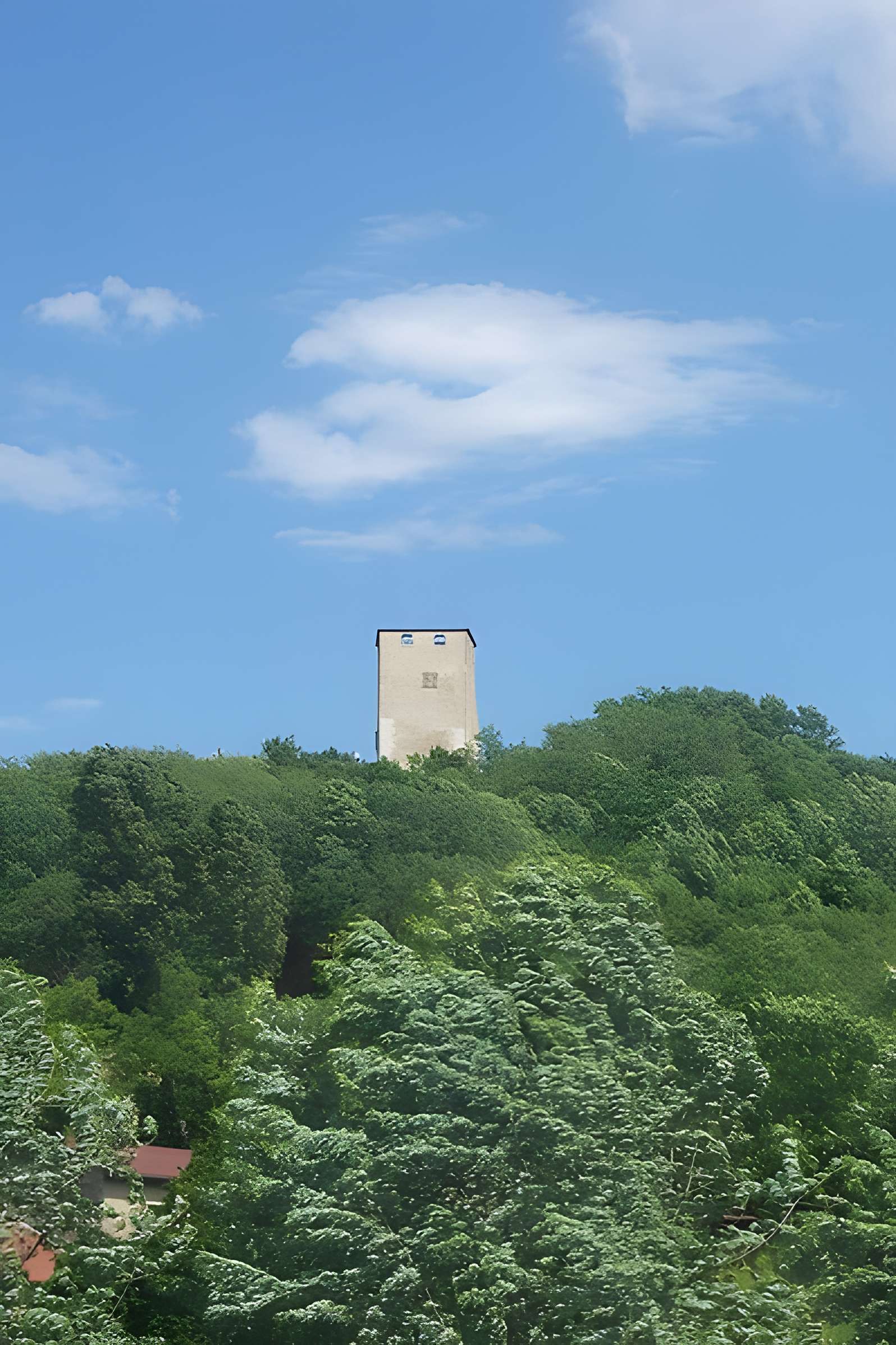 Château de Saint-Denis-en-Bugey