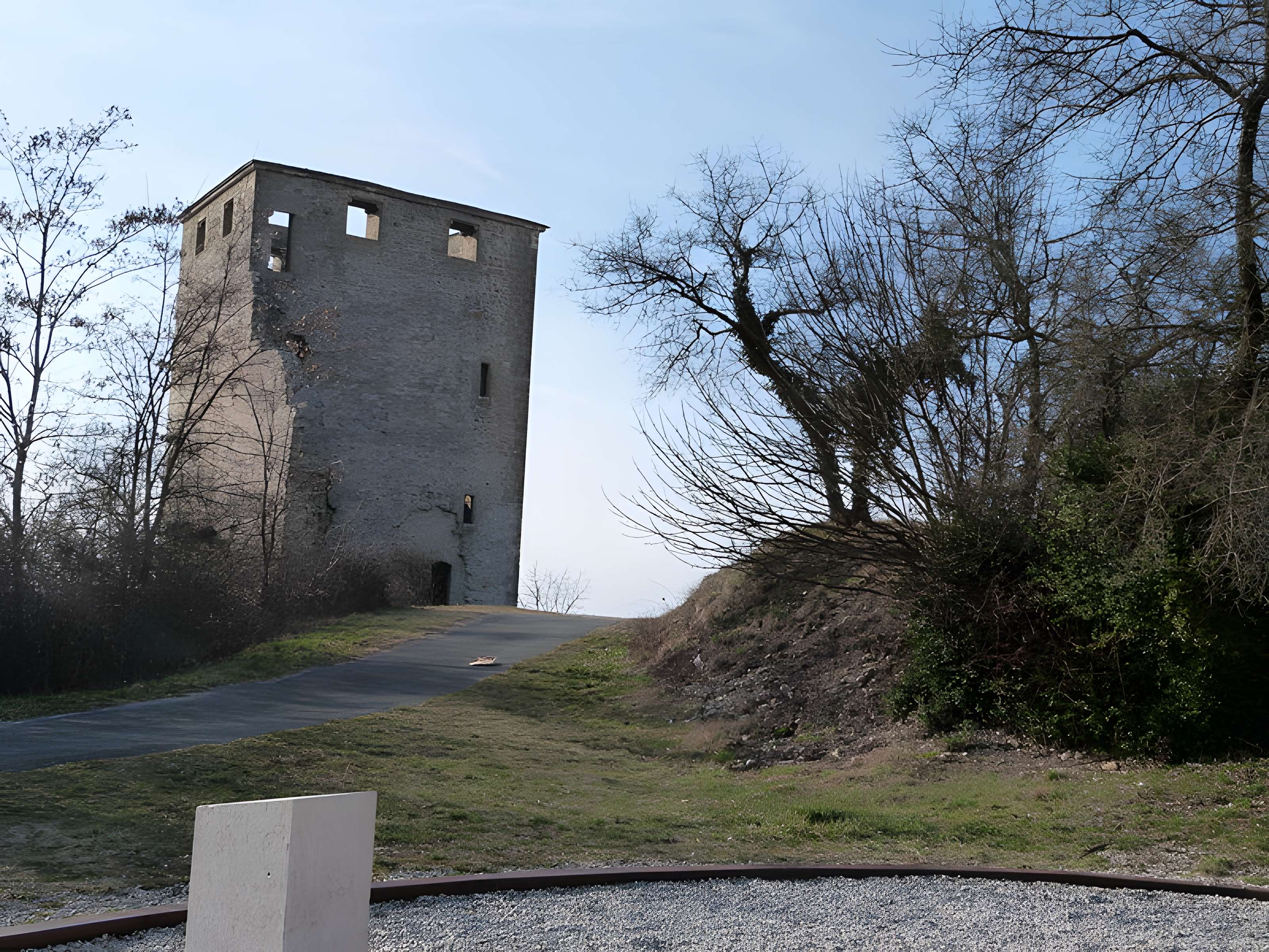 Château de Saint-Denis-en-Bugey