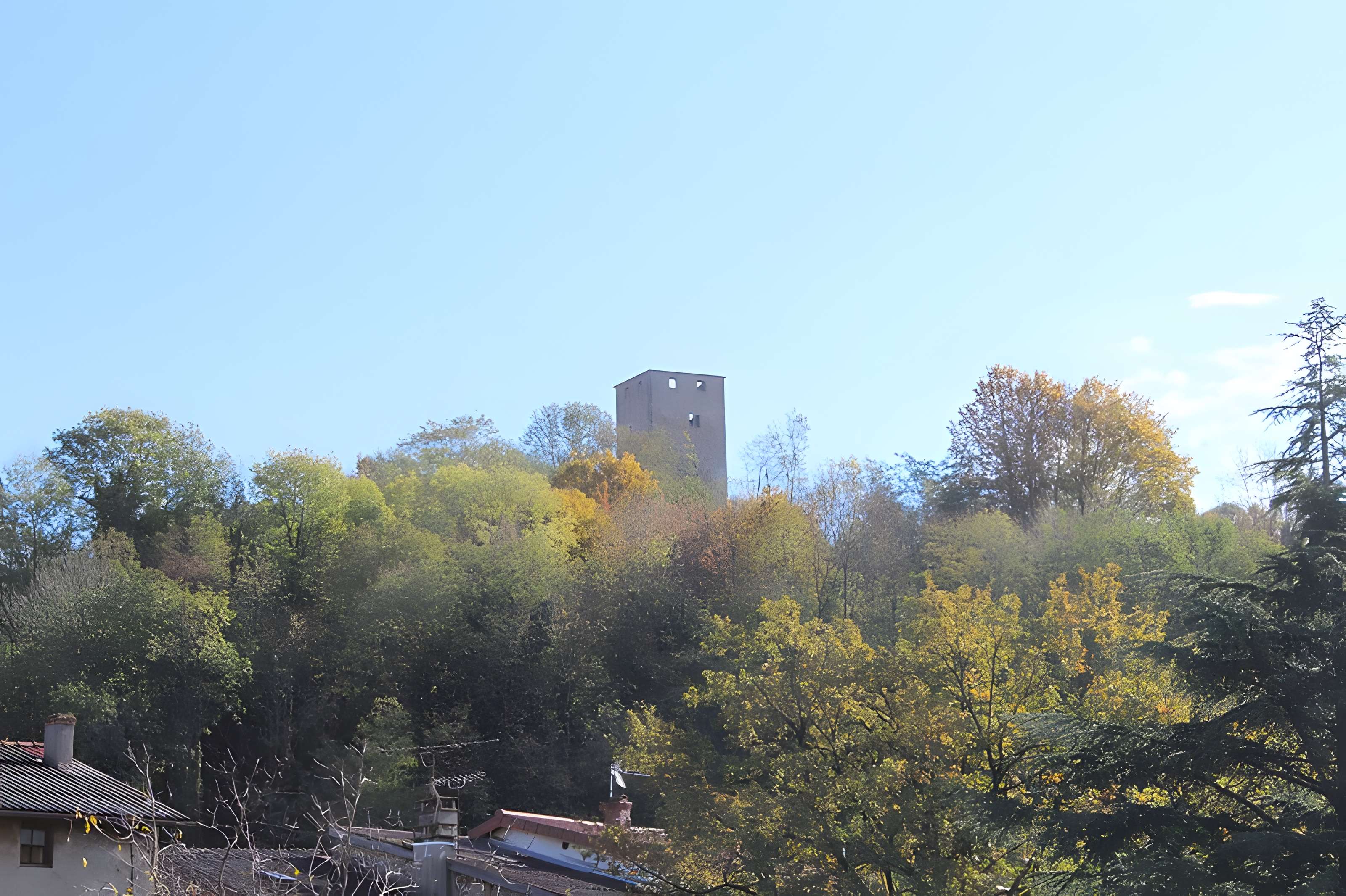 Château de Saint-Denis-en-Bugey