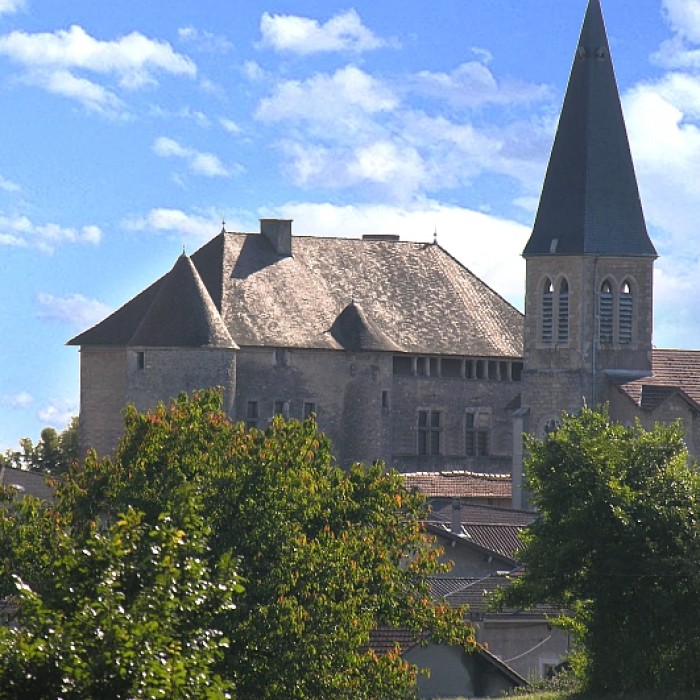 Photo de Château de Sainte-Julie