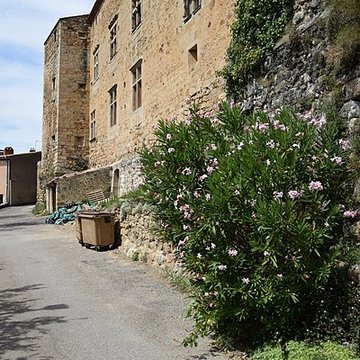 Château de Saint-Ferriol