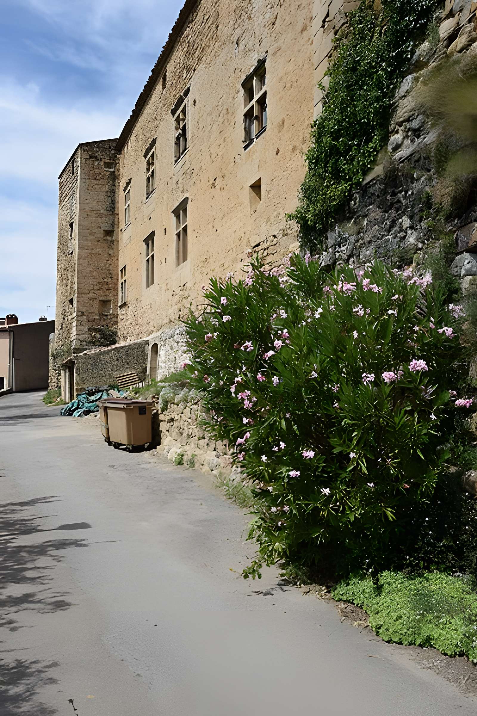 Château de Saint-Ferriol