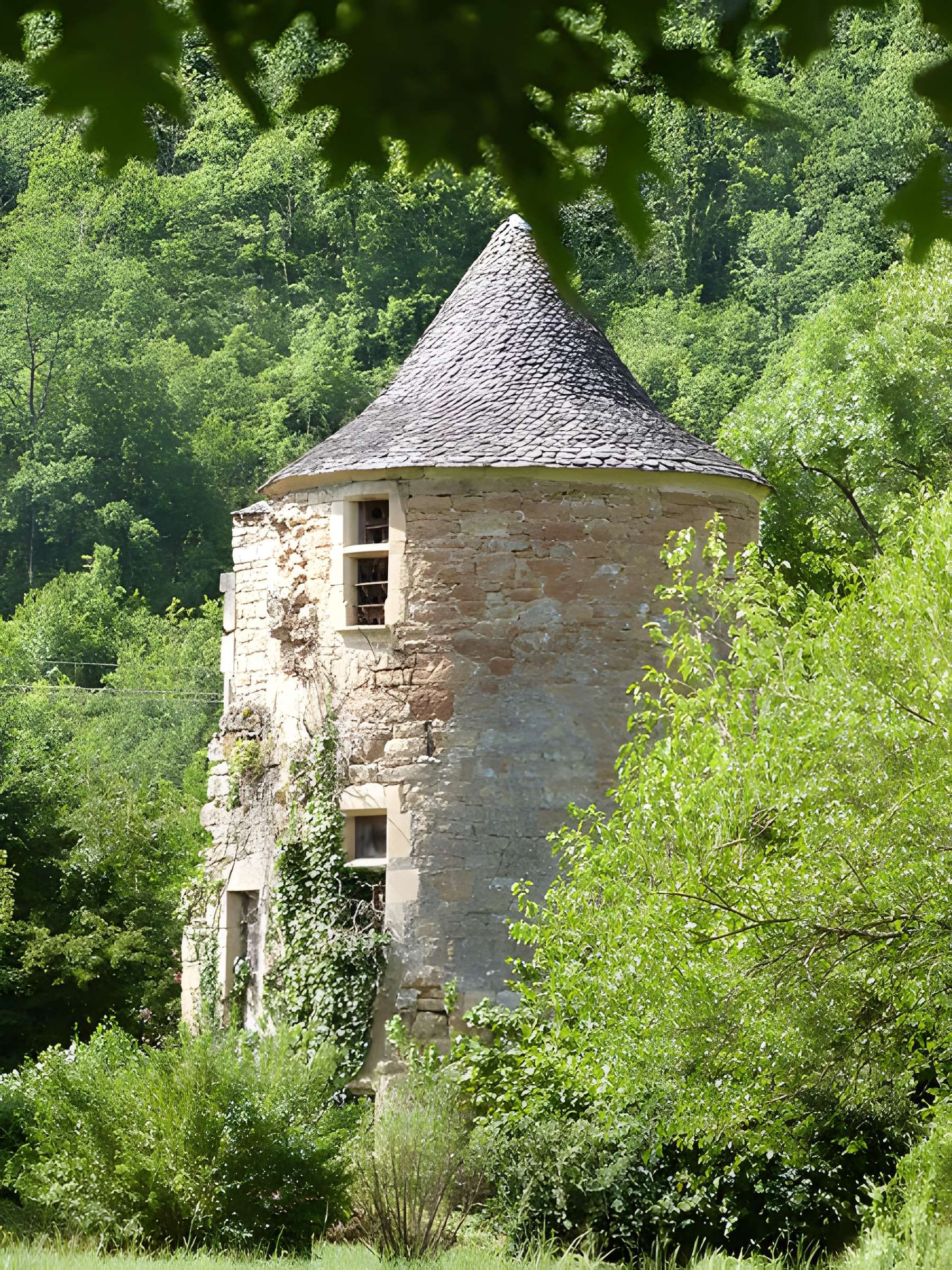 Château de Saint-Julien d'Empare