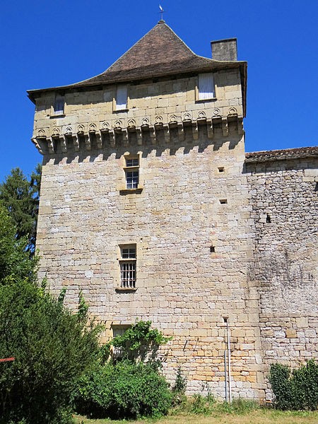 Photo de Château de Saint-Pompont