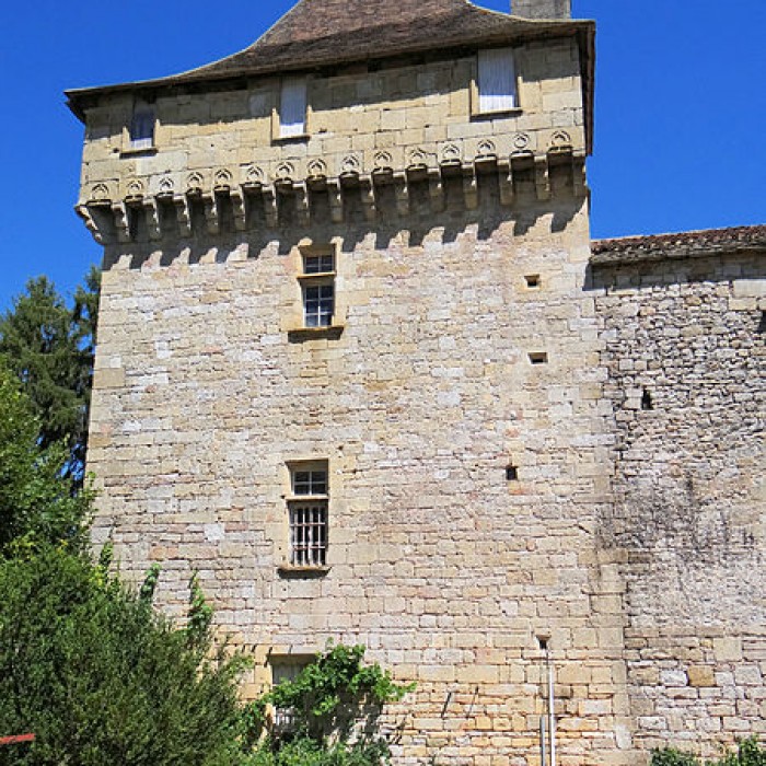 Photo de Château de Saint-Pompont