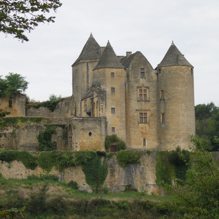 Photo de Château de Salignac