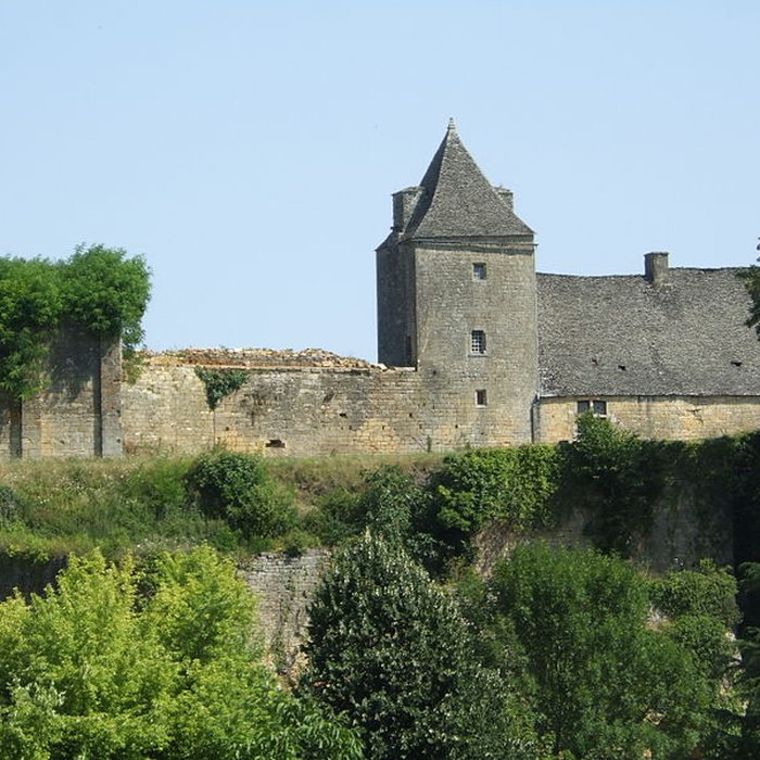 Photo de Château de Salignac