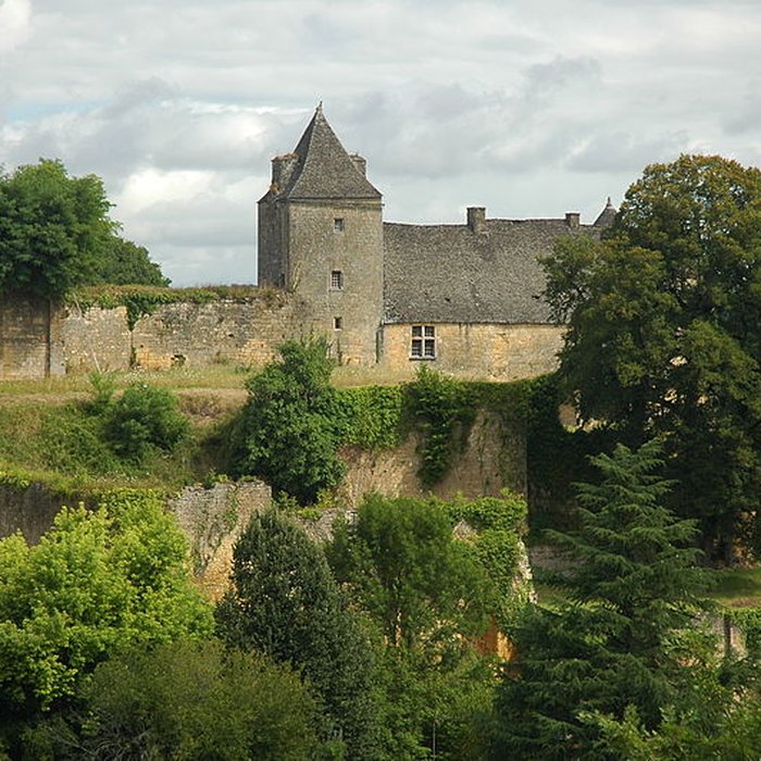 Photo de Château de Salignac