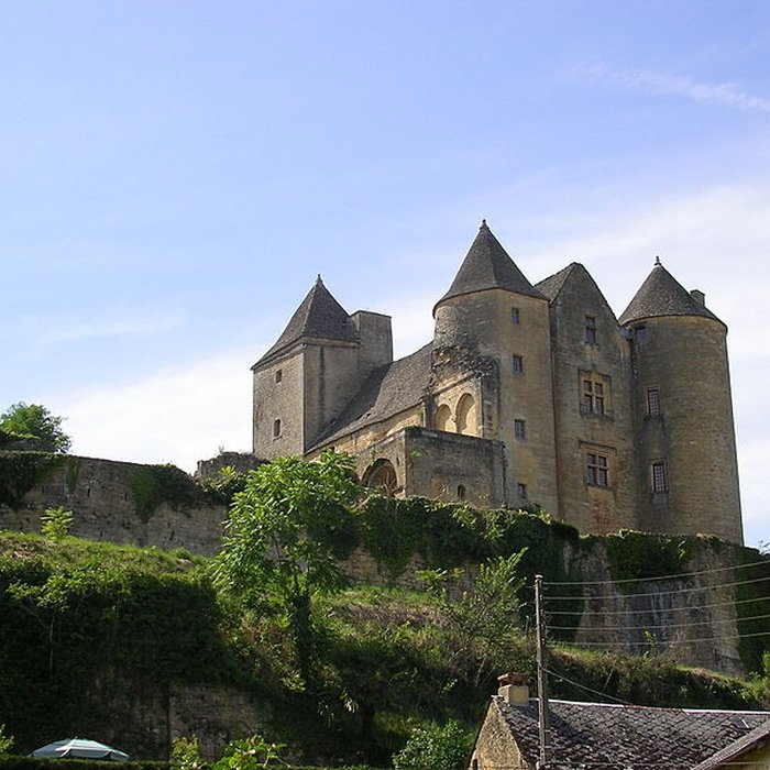 Photo de Château de Salignac
