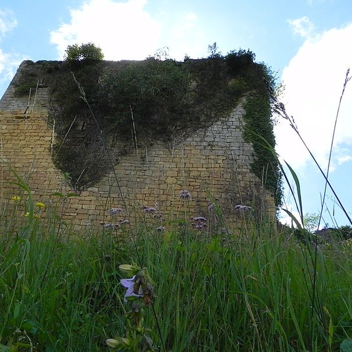 Photo de Château de Salignac