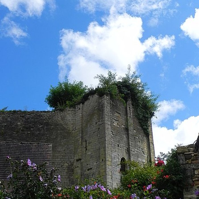 Photo de Château de Salignac