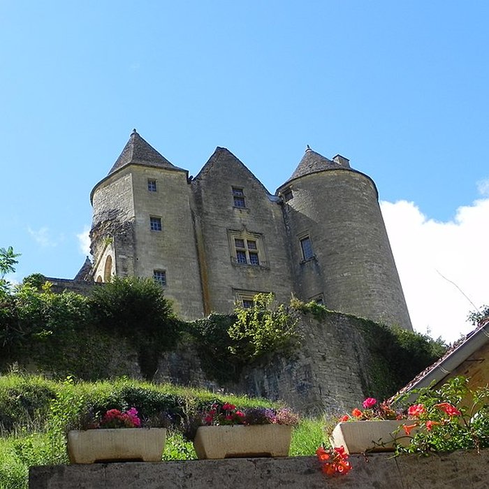 Photo de Château de Salignac