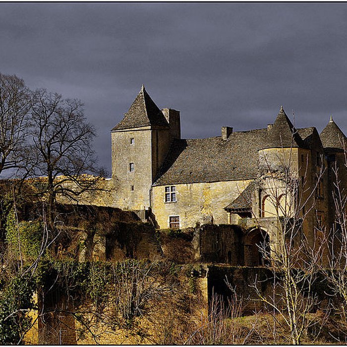 Photo de Château de Salignac