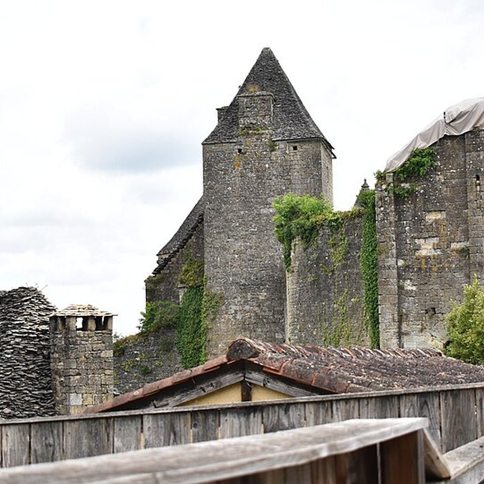 Photo de Château de Salignac