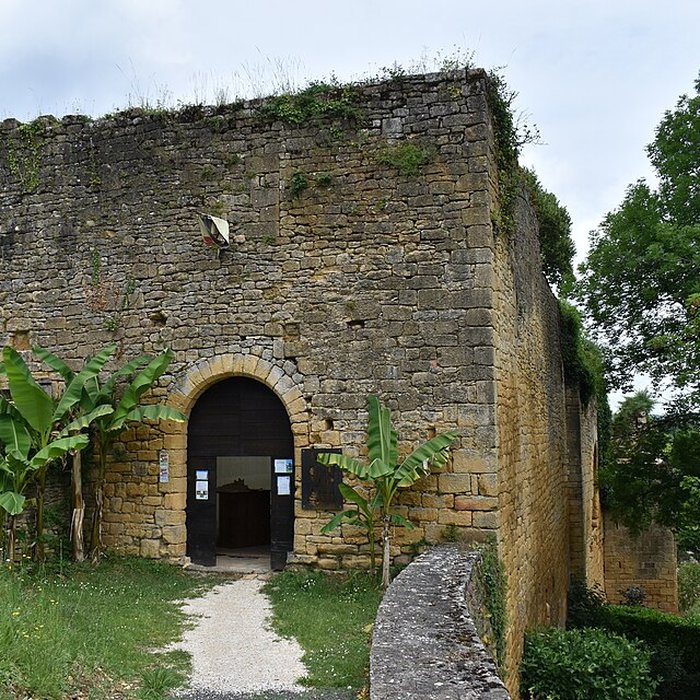 Photo de Château de Salignac