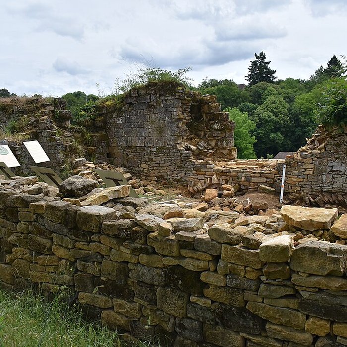 Photo de Château de Salignac