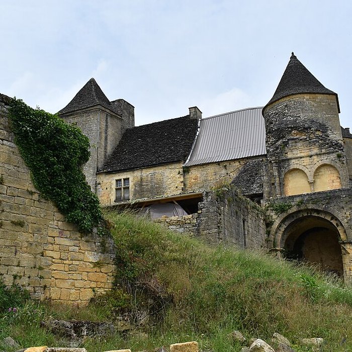 Photo de Château de Salignac