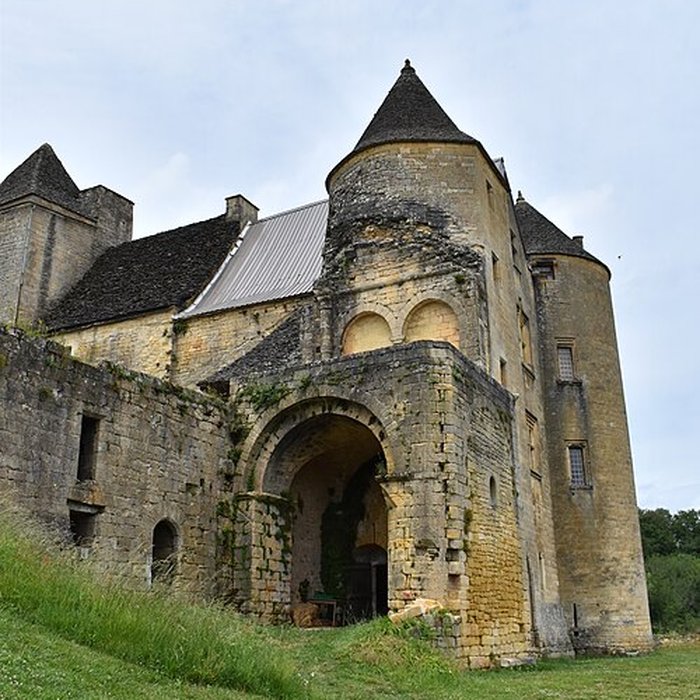 Photo de Château de Salignac
