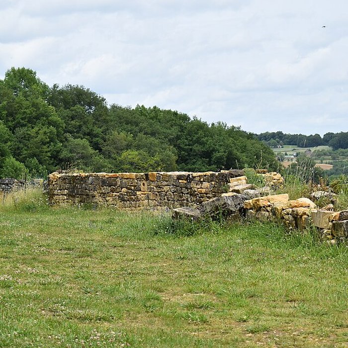 Photo de Château de Salignac