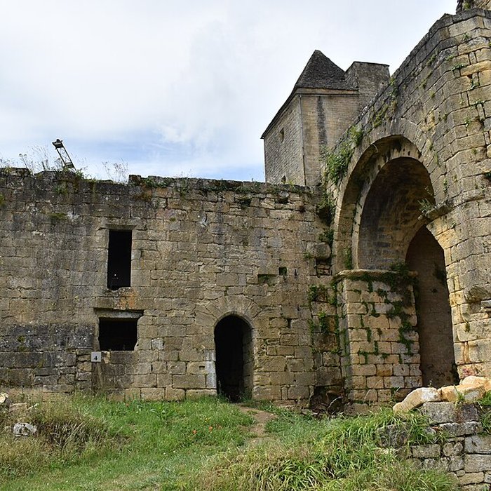 Photo de Château de Salignac