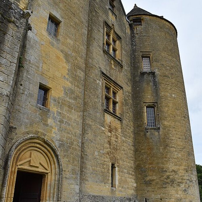 Photo de Château de Salignac