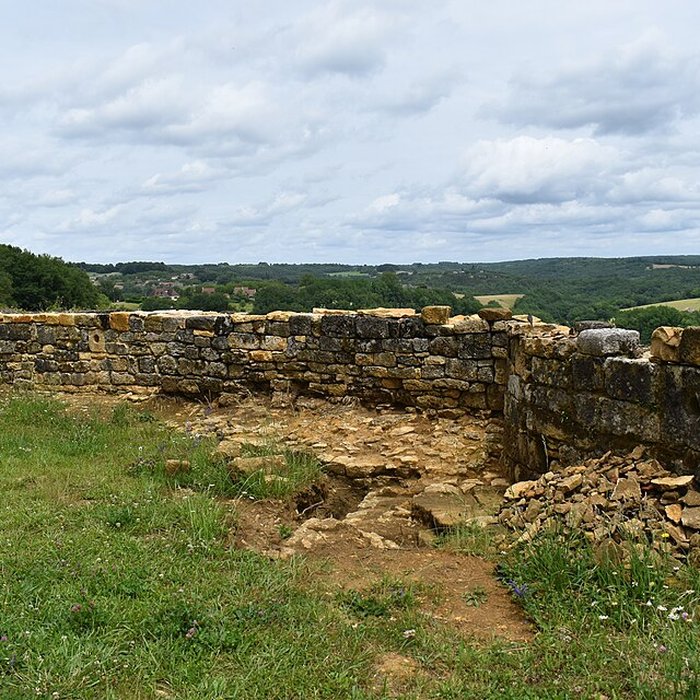 Photo de Château de Salignac