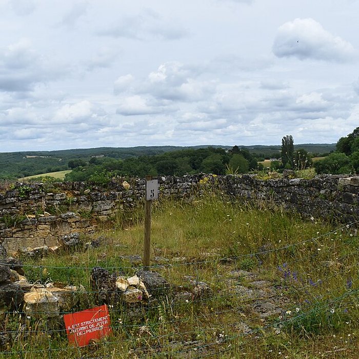 Photo de Château de Salignac