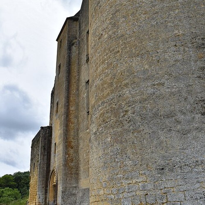 Photo de Château de Salignac