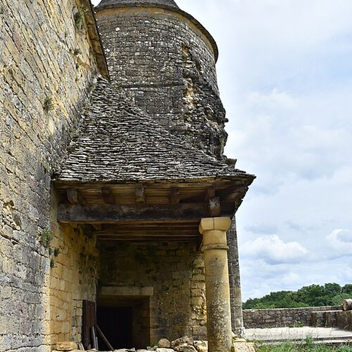 Photo de Château de Salignac