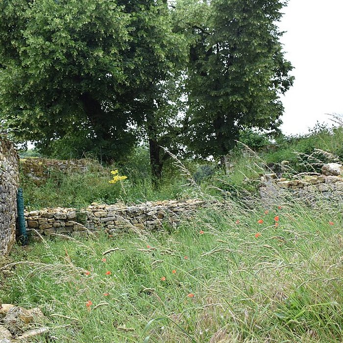 Photo de Château de Salignac