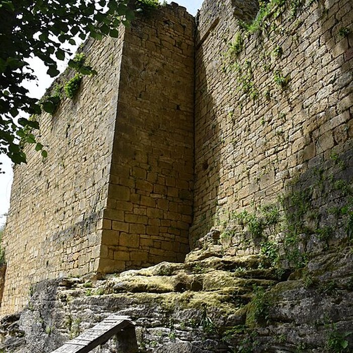 Photo de Château de Salignac
