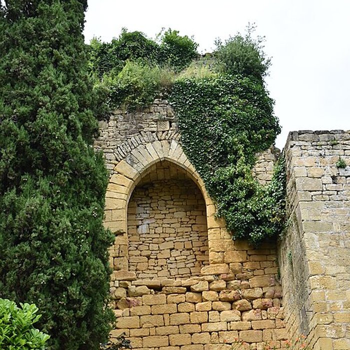 Photo de Château de Salignac