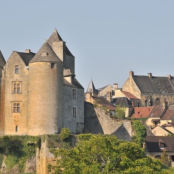 chateau de salignac