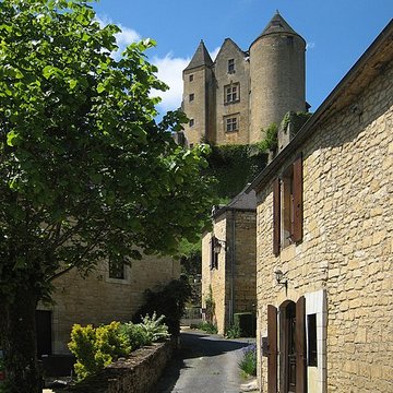 Château de Salignac