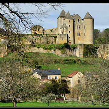 Château de Salignac