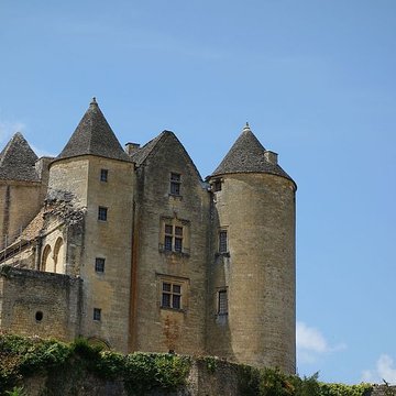 Château de Salignac