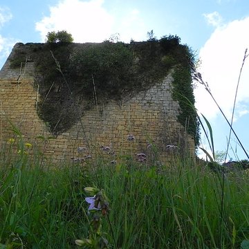 Château de Salignac