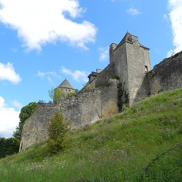 Château de Salignac