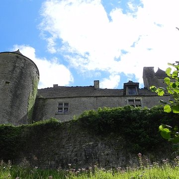 Château de Salignac