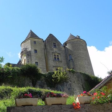 Château de Salignac