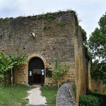 Château de Salignac