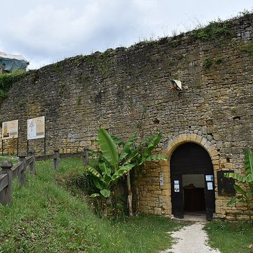 Château de Salignac