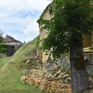 Château de Salignac