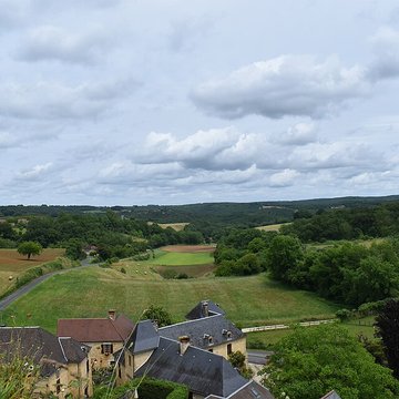 Château de Salignac