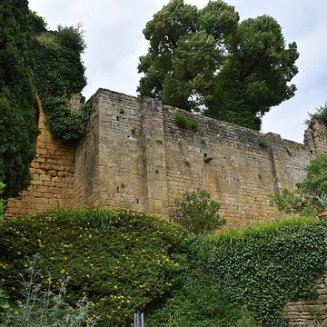 Château de Salignac