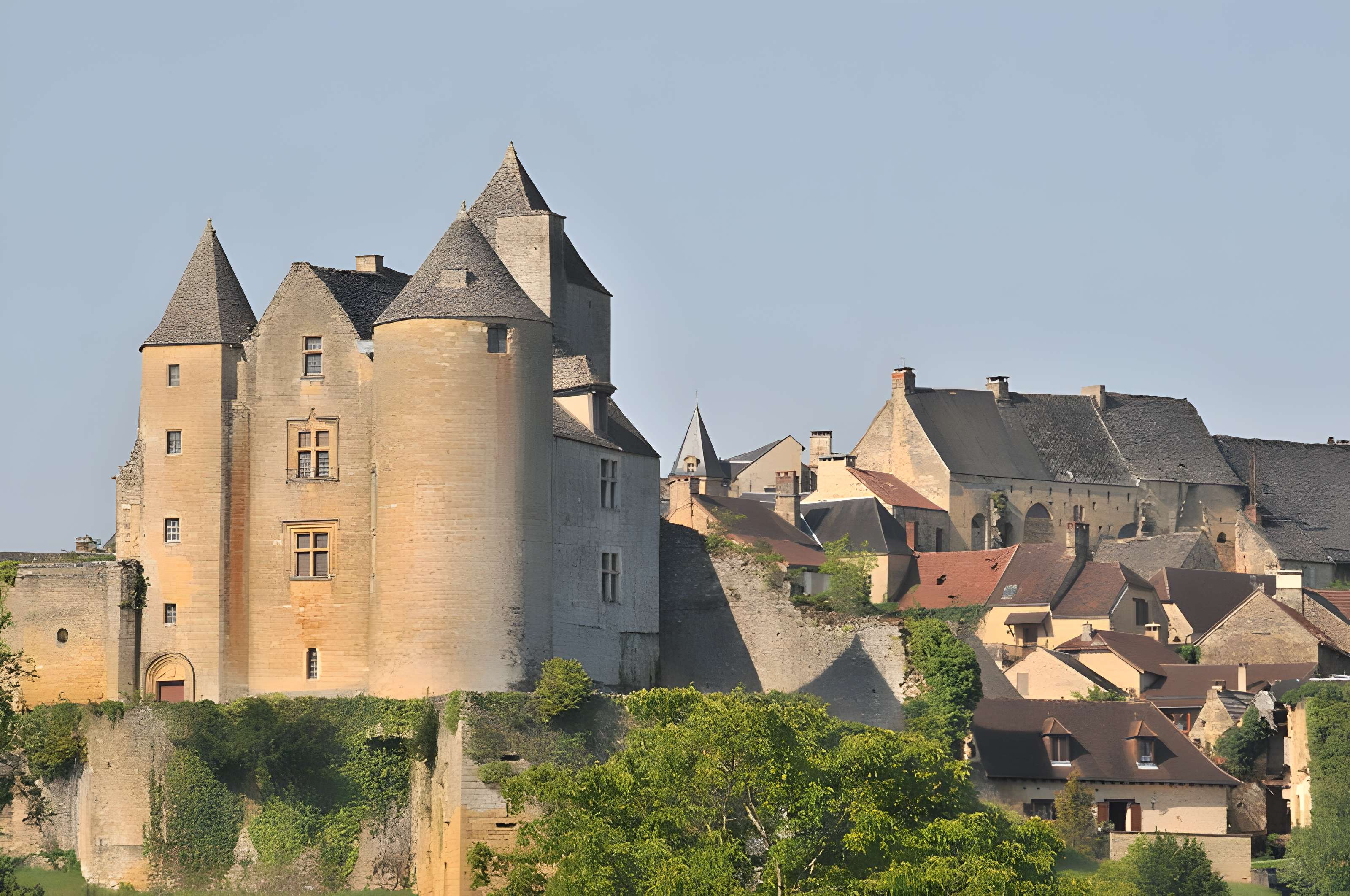 Château de Salignac